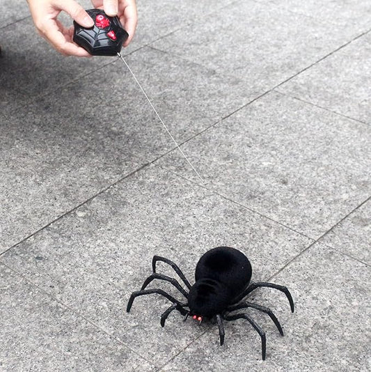 Remote Control Spider ©